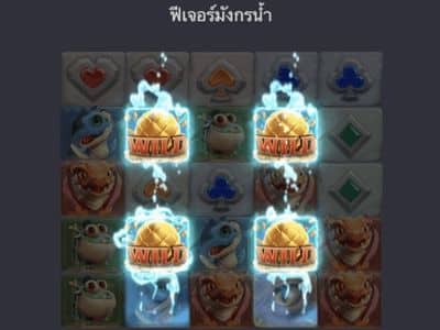 ฟีเจอร์มังกรน้ำ